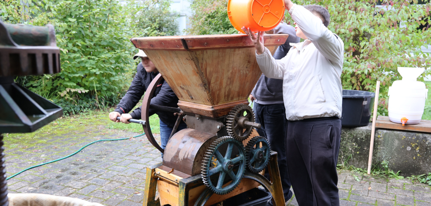 Äpfel werden in einer historischen Maschine zerkleinert